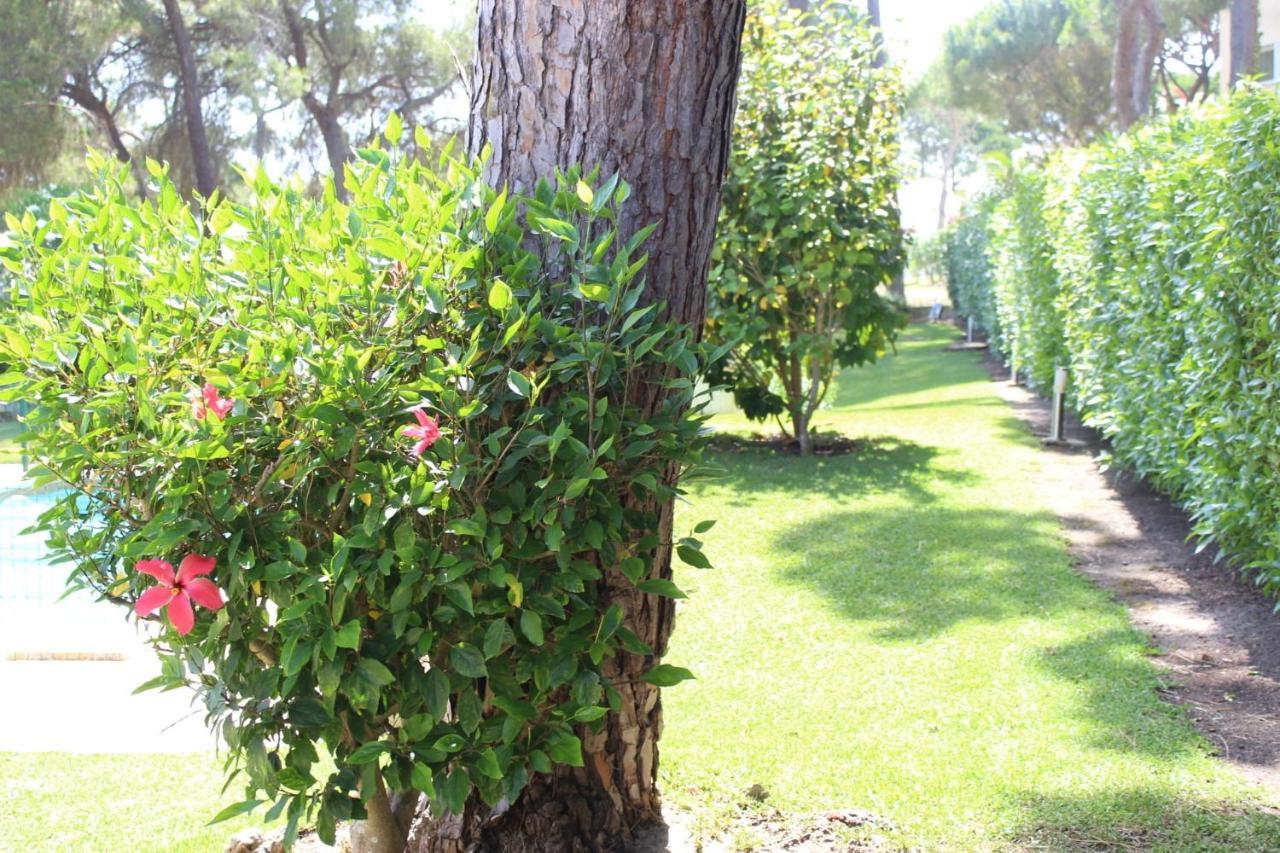 The Pinewood Villa Vilamoura Esterno foto