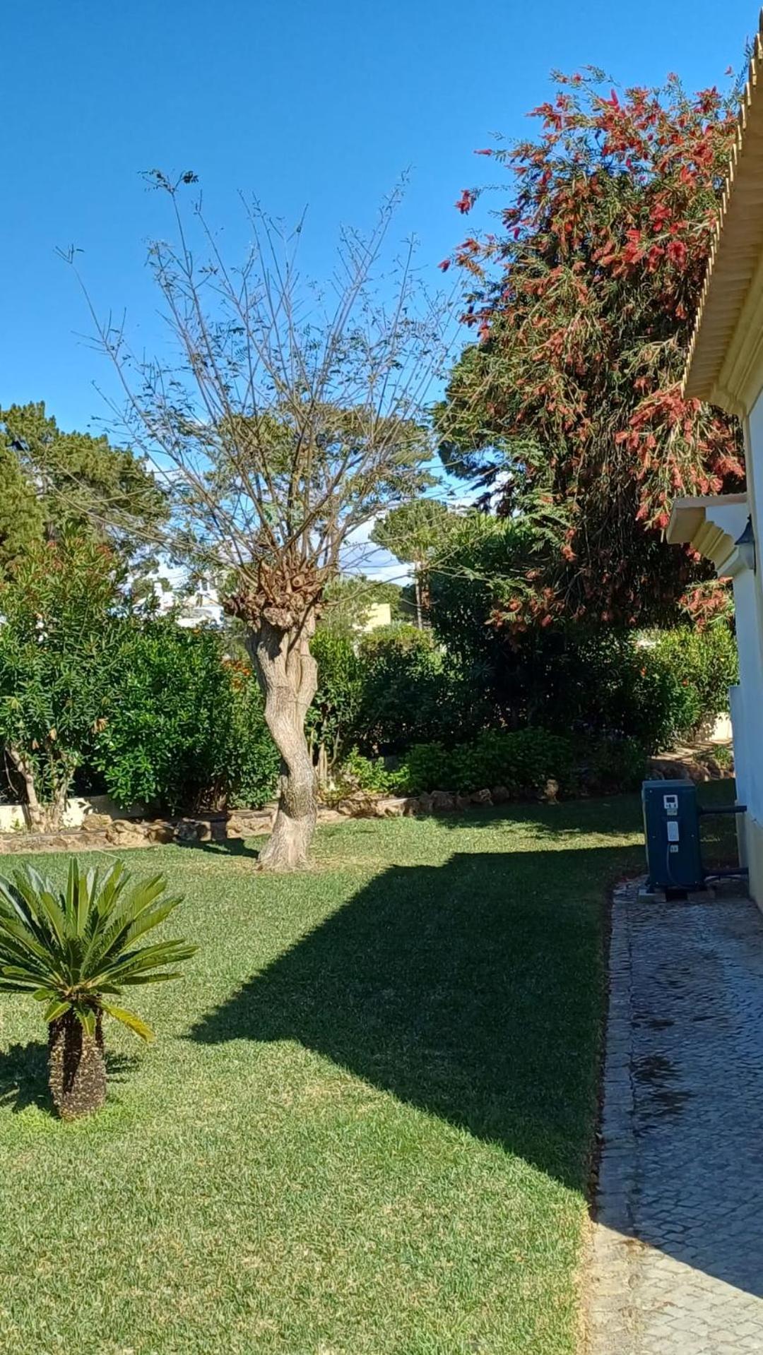 The Pinewood Villa Vilamoura Esterno foto