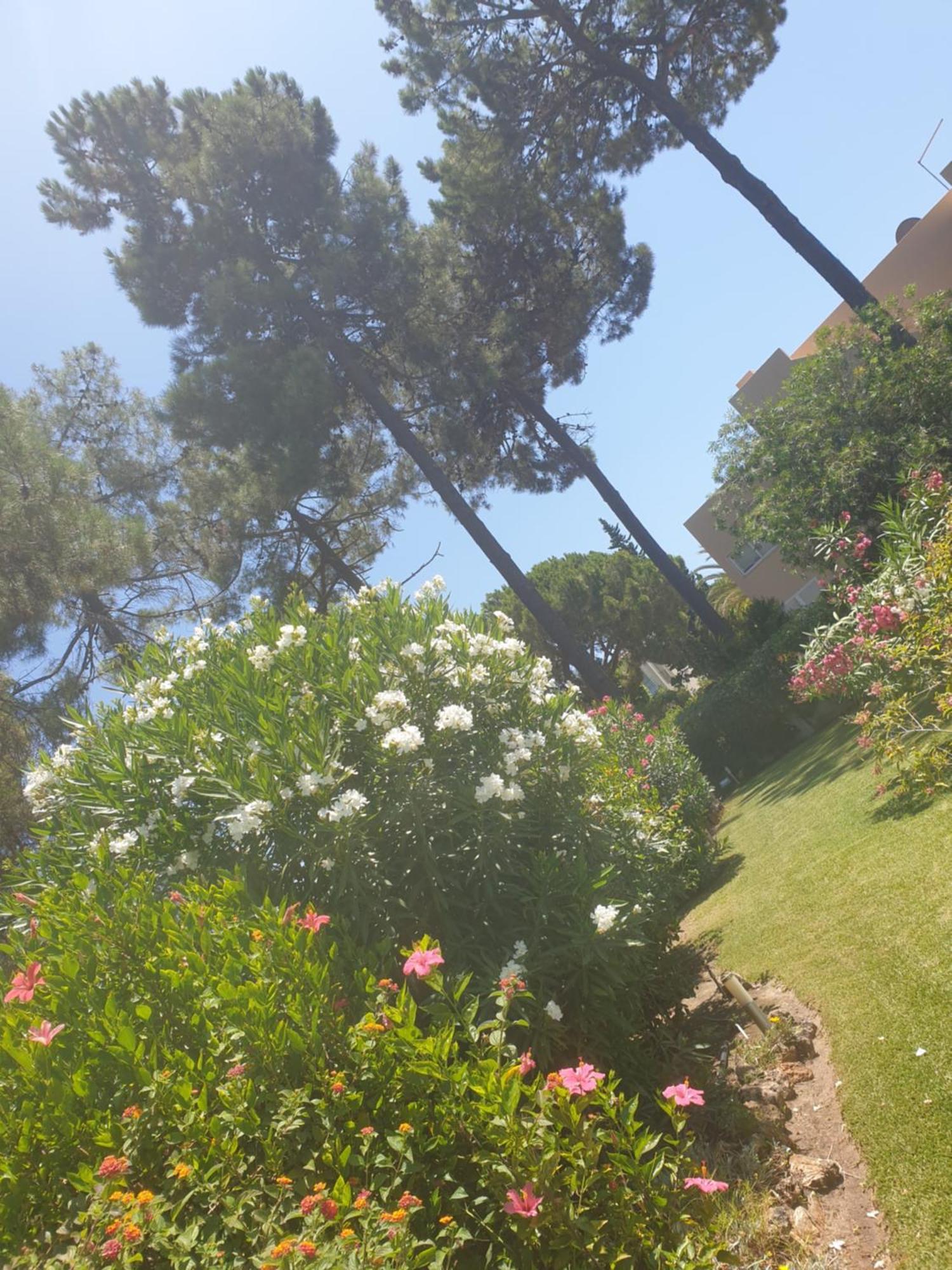The Pinewood Villa Vilamoura Camera foto